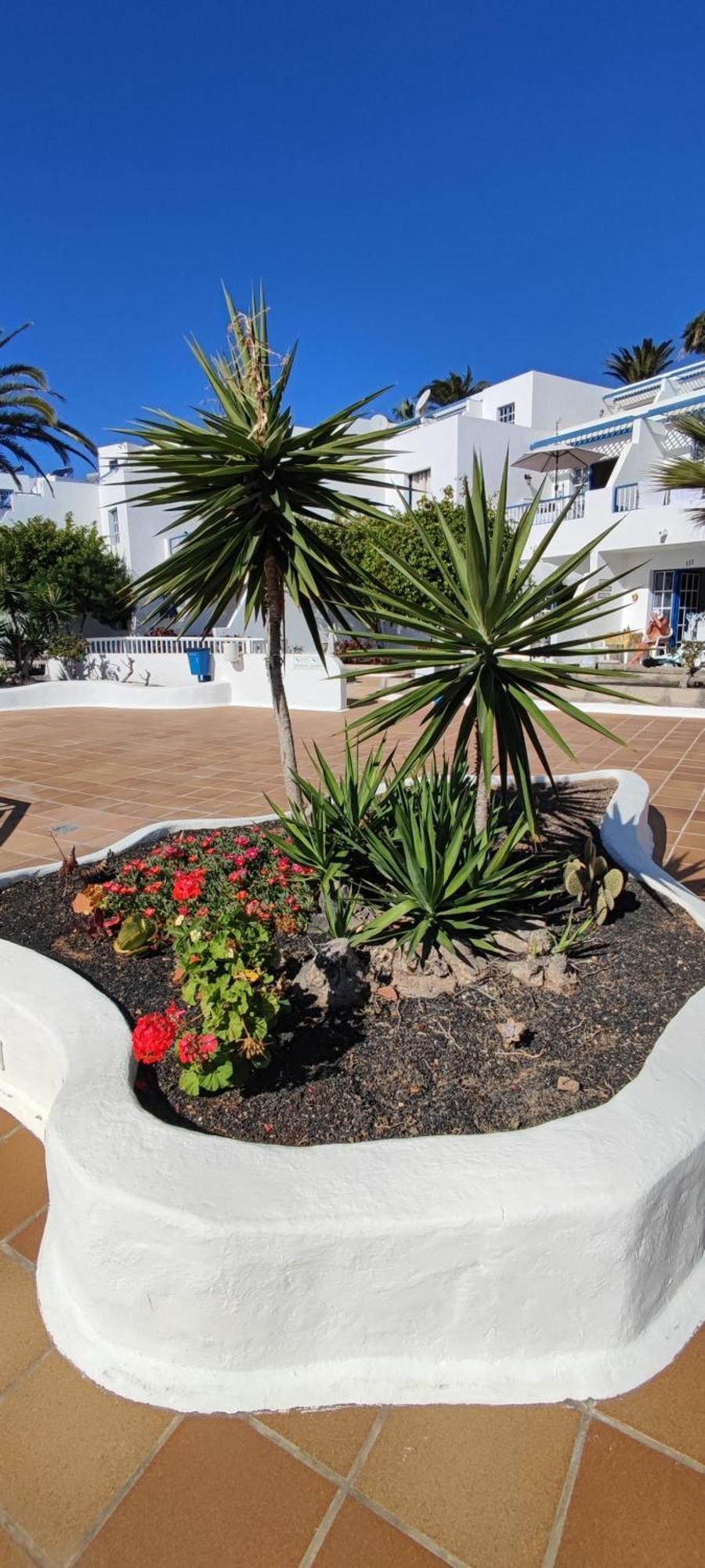 Apartamento Oasis Azul, Vista Oceano. Puerto del Carmen  Exterior photo